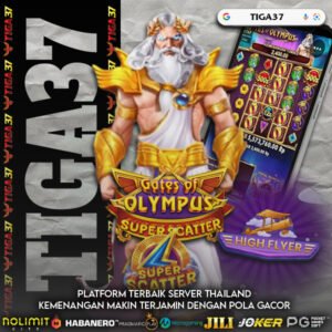 TIGA37 ADS 24